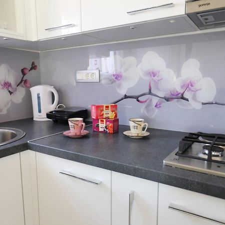 Apartman Teo &Tena Otočac Dış mekan fotoğraf